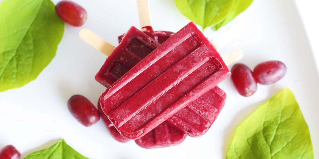 Super-Berry Freezer Pops - NutriWise