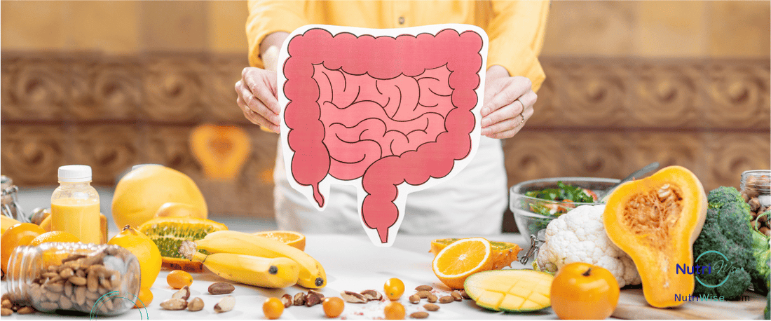 Light Meals vs. Heavy Meals