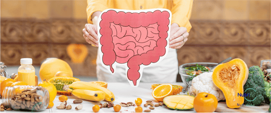 Light Meals vs. Heavy Meals