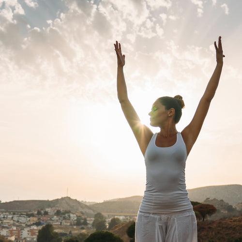 General Wellness Support