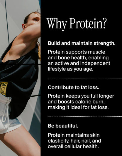 David Bars 28g High-Protein | Blueberry Pie (12ct)