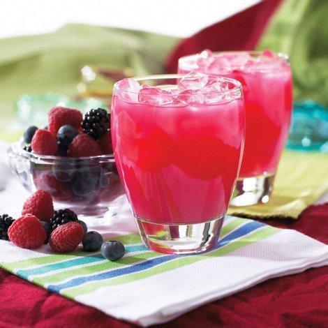 NutriWise - Wild-Berry Fruit Drink (6-Pack Bottles) - NutriWise